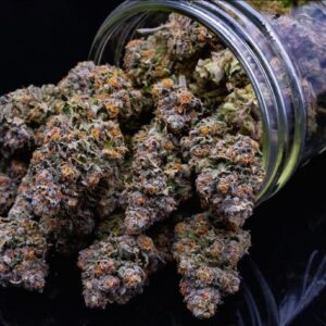 Bacio Gelato Weed For Sale