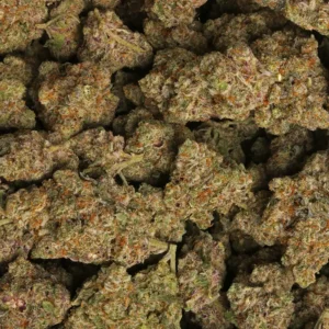 Biscotti Gelato Weed for sale