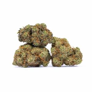 Biscotti Weed for sale