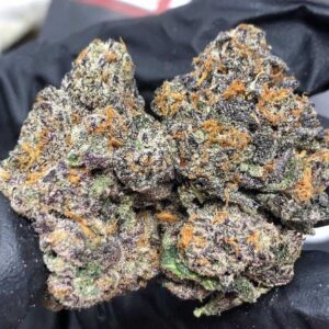 Black Cherry Gelato For Sale