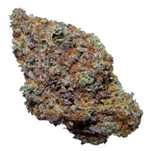 Blackberry Kush For Sale