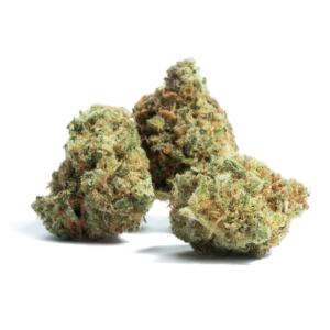 Buy Amnesia Haze Weed Strain Online