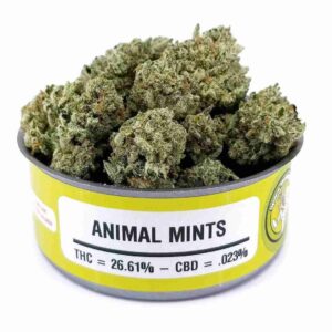 Buy Animal Mints Weed Online