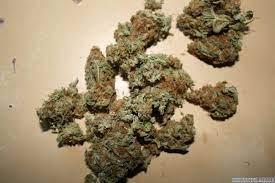 Buy Anunnaki Weed Online