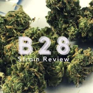 Buy B28 Weed Online