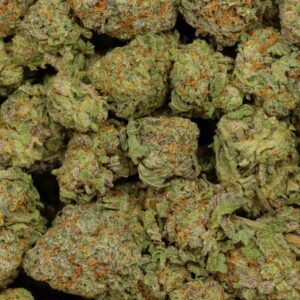 Buy Berry Pie Weed Online