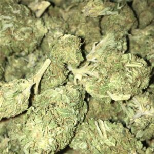 Buy Berry White Weed Strain Online