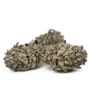 Buy Black Domina Weed Online