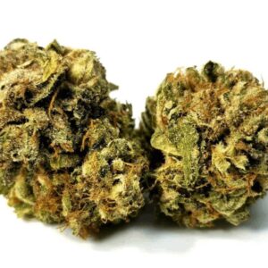 Buy Blue Cheese Weed Online