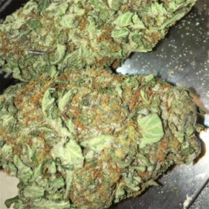 Buy Boy Scout Cookies weed online