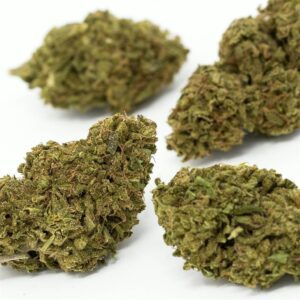 Buy Cheese Weed Strain Online – aka Dinafem Cheese