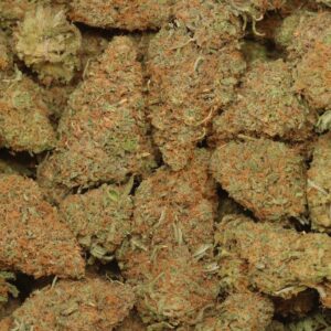 Buy Chocolope Weed Online