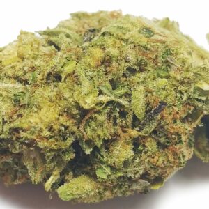 Buy Cream Caramel Kush Online