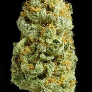 Buy Critical Cheese Auto Weed Online