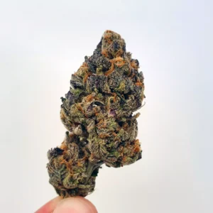 Buy Footloose Weed Online