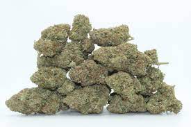 Buy GMO Cookies Weed Online