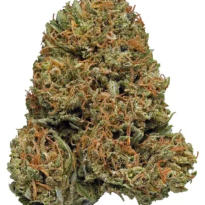 Buy Galactic Jack Weed Online