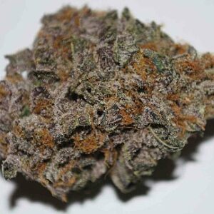 Buy Gelato 47 Weed Online