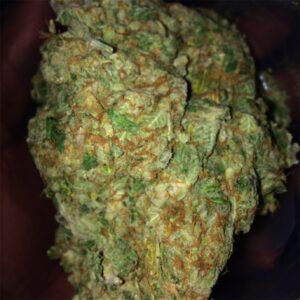 Buy Grapefruit Diesel Weed Online