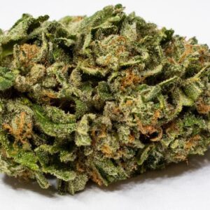 Buy Guava Dawg Weed Online