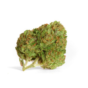 Buy Harlequin Weed Online