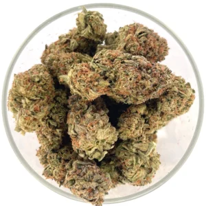 Buy Ice Cream Cookies Weed Online