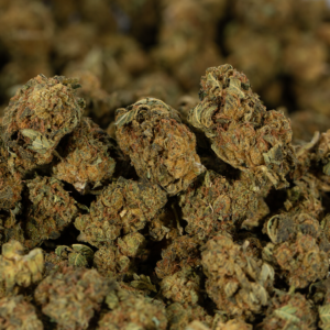 Buy King Tut Weed Online