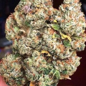 Buy Knightsbridge OG Kush Online