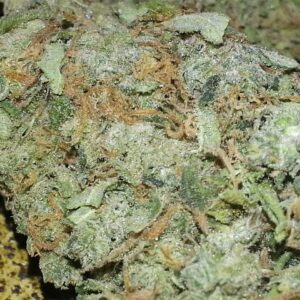 Buy Lemon Jack Weed Online