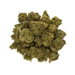 Buy Mango Haze Weed Online