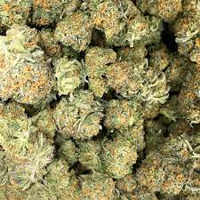 Buy Mataro Blue Kush Online