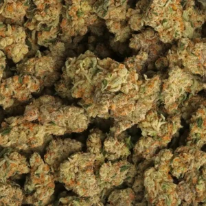 Buy Meat Breath Weed Online