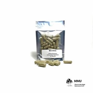 Buy Microdose Ginger Root Extract