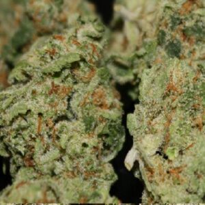 Buy Middlefork x Pineapple Express Weed