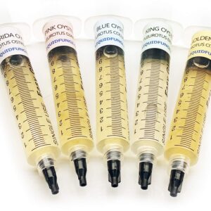 Buy Mushroom Strain Spore Syringes