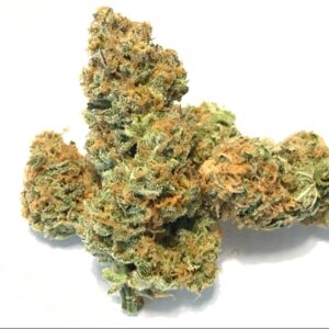 Buy Peyote Cookies Weed Online