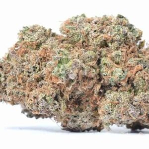 Buy Pink Champagne Weed Online