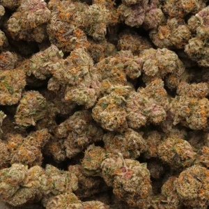 Buy Purple Panty Dropper Weed Online