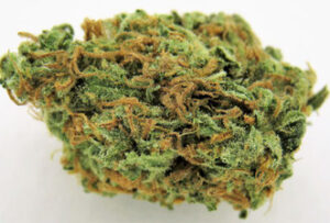 Buy S5 Haze Weed Online