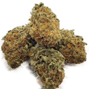 Buy Snoop Dogg OG Kush Online