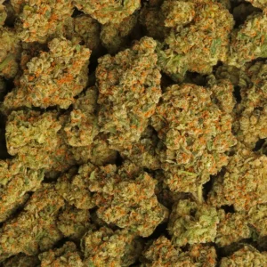 Buy Super Jack Weed Online