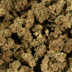 Buy Trainwreck Weed Online