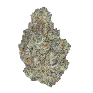 Buy White Durban Kush Online