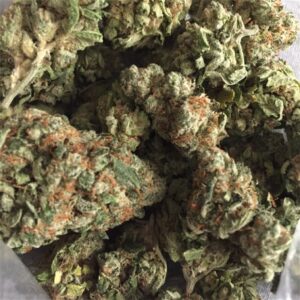 Buy Yeti OG Kush Online