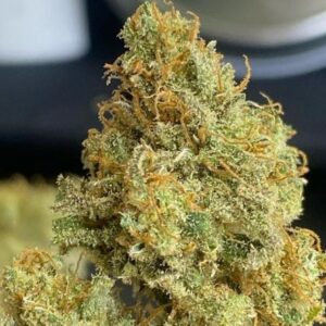 Critical Cure Kush Weed Strain For Sale