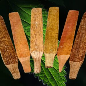 Fresh Kambo sticks for sale