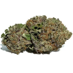 Hindu Kush For Sale