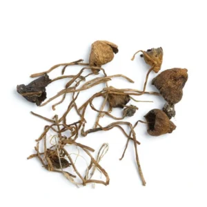 Liberty Cap Mushrooms For Sale