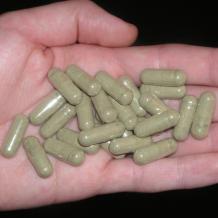 Mescaline Capsules for sale