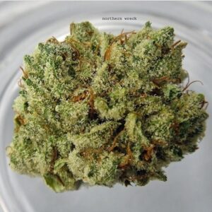 Northern Wreck Weed For Sale